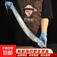 新漁姐 海釣整條帶魚(yú)(無(wú)冰) 東海小眼深海魚(yú) 海釣帶魚(yú)（200-300g/條）1kg