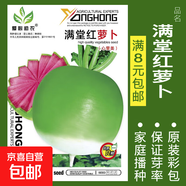 8424麒麟無籽美都西瓜種籽大全種子水果瓜果苗小南方蔬菜苗秧種孑 滿堂紅蘿卜約300粒
