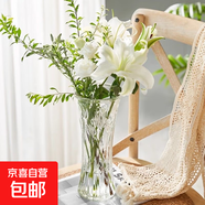 富貴竹玻璃花瓶六角客廳水養插花水培百合花瓶大號擺件花瓶居家 25高六角花瓶2個(gè)