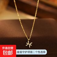 跨境新品S925銀十二星座項鏈女立體符文輕奢鑲鉆設計感鎖骨鏈頸鏈 【黃金色-雙魚(yú)座】 無(wú)規格