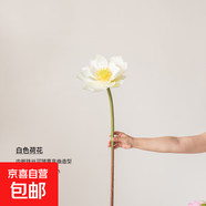荷花仿真花假花擺設(shè)荷葉蓮蓬客廳花藝擺件餐廳插花佛堂禪意裝飾花 荷花白色 無規(guī)格