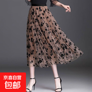 2025春秋新款碎花紗裙仙女裙百褶中長款高腰時尚網(wǎng)紗裙高檔半身裙 1310卡其色#網(wǎng)紗花朵半身裙 均碼 裙長85cm【推薦80-150斤】