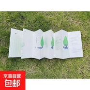 魔法象  圖畫書王國(guó)  買樹蔭的故事 蘇西·李 著 童書