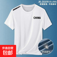 寬松冰絲網(wǎng)眼短袖夏季輕奢休閑圓領(lǐng)速干透氣男士運(yùn)動冰爽T恤百搭 China【白】 3XL 【建議145-160斤】