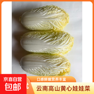 云南高山新鮮娃娃菜沙拉蔬菜早餐蔬菜水果現采現發(fā) 新鮮娃娃菜（3棵）*1包