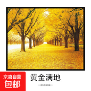 電表箱裝飾畫免打孔現(xiàn)代簡約遮擋總開關(guān)電閘盒配電箱客廳餐廳掛畫 黃金滿地 50*40可遮擋40*30液壓款-帶液壓