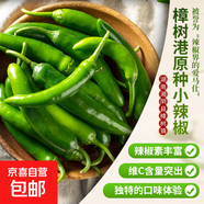 湖南樟樹(shù)港原種小辣椒現摘新鮮富曬食用薄皮嫩青線(xiàn)椒農產(chǎn)下飯菜 樟樹(shù)港原種小辣椒新鮮采摘 3斤