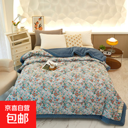 小清新豆豆絨被保暖空調(diào)被四季通用春秋被冬天加厚冬被子被芯 摩爾莊園 150*200春秋被4斤