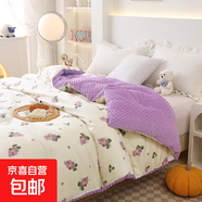 新款雙層紗水洗棉豆豆被加厚雙人春秋學(xué)生宿舍棉被冬季空調保暖 多彩萄萄【舒適透氣】 180x220cm10斤
