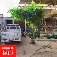 仿真大樹榕樹室內(nèi)假樹造景裝飾人造樹仿真綠植仿真樹大型樹定制 單邊延伸3高x2.5寬米