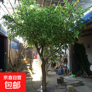 仿真大樹榕樹室內(nèi)假樹造景裝飾人造樹仿真綠植仿真樹大型樹定制 2.5米高*2.5米寬*30cm粗