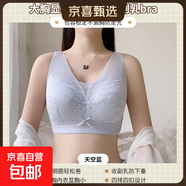茵婷莎文胸聚攏收副乳上托防下垂大胸顯小胖MM內(nèi)衣女薄款舒適無鋼 天空藍(lán) 90B