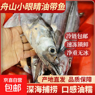 東海正宗國產(chǎn)本港舟山新鮮速凍小眼睛帶魚雷達(dá)網(wǎng)油帶魚刀魚整條裝 3-4條/斤正宗網(wǎng)捕小油帶5斤裝