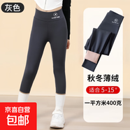 秋冬季兒童鯊魚(yú)褲加絨春秋芭比褲薄款百搭彈力女童學(xué)生外穿打底褲 灰色 【薄絨400g】 110 建議身高95-105cm