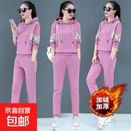 加絨加厚時(shí)尚運(yùn)動(dòng)休閑套裝女秋冬季連帽長(zhǎng)袖寬松衛(wèi)衣兩件套ZHFS 橡皮粉 套裝 M