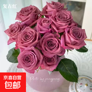 英國玫瑰絨球門(mén)廊大花濃香月季花苗四季開(kāi)花陽(yáng)臺庭院花鏡植物耐熱 咖啡師 復古色   6加侖大苗 原盆原土