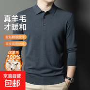 100%全羊毛秋冬新款男士羊毛衫加厚毛衣時(shí)尚純色長(cháng)袖T恤針織衫男 蘭灰 3XL