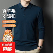 100%全羊毛秋冬新款男士羊毛衫加厚毛衣時(shí)尚純色長(cháng)袖T恤針織衫男 彩青藍 3XL