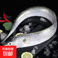 東海帶魚(yú)小眼油帶魚(yú) 整條帶魚(yú)3-4兩/條5斤裝 約14-16條 1箱【5斤】