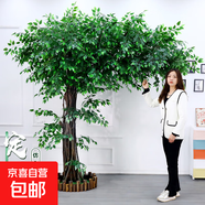 假樹仿真樹大型仿真榕樹室內(nèi)裝飾樹落地客廳植物人造大樹酒店綠植 [圍欄+草坪]延伸形高3米寬3米