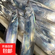 舟山寧波小眼帶魚(yú)特大東海整條鮮活冷凍新鮮正宗野生海釣油帶刀魚(yú) 海釣帶魚(yú)（300-400g/條）1000g無(wú)冰