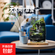 苔蘚微景觀養(yǎng)魚生態(tài)瓶diy辦公室內(nèi)桌面綠植擺件花卉盆栽生日禮物 翠微香-香薰底座