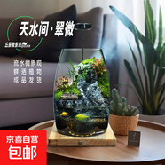 苔蘚微景觀養(yǎng)魚生態(tài)瓶diy辦公室內(nèi)桌面綠植擺件花卉盆栽生日禮物 翠微松-香薰底座