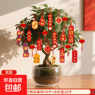 馬年新年掛件氛圍布置用品2026過(guò)年樹(shù)上盆栽盆景綠植小紅燈籠掛飾 【新年快樂(lè )系列】16個(gè)+小絨球燈籠16個(gè)(送紅繩)