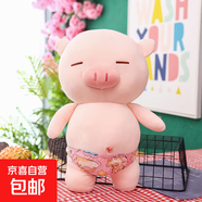 沙灘小豬玩偶布娃娃毛絨玩具兒童大號睡覺(jué)抱枕男孩公仔生日禮物女 沙灘豬【70cm】粉色泳褲 流氓豬小眾實(shí)用高級感520情人節禮物