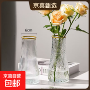 玻璃花瓶透明植物插花瓶水培容器大花瓶裝飾客廳擺件 【熱銷(xiāo)】透明水波紋（17*5.5*8） 1個(gè)裝