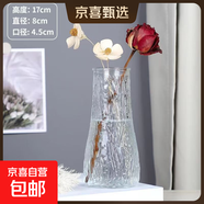 創(chuàng  )意透明ins風(fēng)玻璃花瓶植物干花插花水培大容器臺面裝飾客廳擺件 【特價(jià)】透明水波紋17*5.5*8