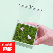 迷你草坪苔蘚盒子配小兔辦公室桌面微景觀(guān)好養創(chuàng  )意禮物生態(tài)盒 (推薦)苔蘚盒中號8*8*4 配噴壺+小兔