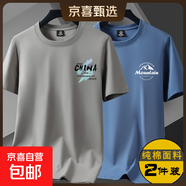 啄木鳥(niǎo)（TUCANO）夏季正肩潮男衣服短袖t恤男生圓領(lǐng)純棉寬松全棉印花打底體 小CH卡其色+小山丘霧藍色 XL 建議130-145斤