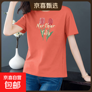 純棉短袖t恤女裝夏季寬松顯瘦圓領(lǐng)半袖打底體恤衫學(xué)生百搭上衣604 磚紅郁金香 XL 【建議115-125斤】