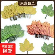 創(chuàng  )意造型楓葉貼紙留言貼許愿墻貼打底素材樹(shù)葉收便利貼高顏值葉子記事貼N次貼留言便簽本 ins楓葉便簽紙 【綠葉】-100張