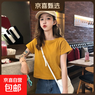 純棉短款短袖t恤女夏季2025新款內搭常規外穿ins超火正肩上衣002 003黃色 L 參考100-115斤