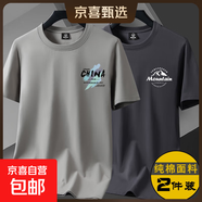 啄木鳥(niǎo)（TUCANO）夏季正肩潮男衣服短袖t恤男生圓領(lǐng)純棉寬松全棉印花打底體 小CH卡其色+小山丘鐵灰色 XL 建議130-145斤