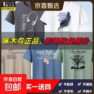 啄木鳥(niǎo)（TUCANO）5件純棉短袖t恤男青年大碼寬松印花體恤圓領(lǐng)打底衫衣服半袖 耳灰+羽灰+S灰+鏈灰+樹(shù)灰 4XL 建議【165-180斤】