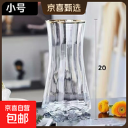 特大號輕奢創(chuàng  )意簡(jiǎn)約玻璃花瓶透明水養鮮花北歐ins風(fēng)客廳插花擺件 【20高描金】透明太陽(yáng)花