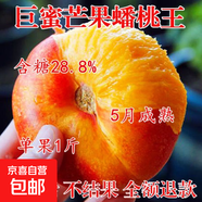 油蟠桃樹(shù)苗嫁接新品種特大蟠桃樹(shù)苗南北方種植桃樹(shù)盆地栽當年結果 四年苗 買(mǎi)一送一（2棵裝）當年結果 81cm(含)-110cm(含)