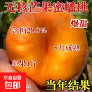 嫁接桃樹(shù)苗早熟特大新品種油蟠桃樹(shù)苗南北方種植盆栽地栽當年結果 【一棵裝】粗1.4公分少量結果 81cm(含)-110cm(含)