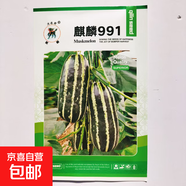 水果甜瓜種子四季蔬菜種子西葫蘆黃瓜辣椒種子南瓜韭菜茄子絲瓜種 麒麟991薄皮甜瓜種子【原裝500?！?
                                         title=