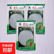 水果甜瓜種子四季蔬菜種子西葫蘆黃瓜辣椒種子南瓜韭菜茄子絲瓜種 麒麟碧玉甜瓜玉菇種子【原裝100?！?
                                         title=