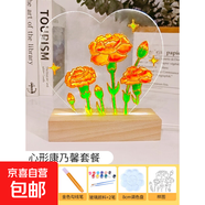 馬年禮物郁金香玻璃畫(huà)小夜燈手繪水波紋亞克力板手工diy元旦節 心形【康乃馨】全套材料包 暖光