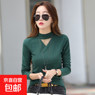 春秋季新款半高領(lǐng)修身V領(lǐng)網(wǎng)紗長(cháng)袖T恤女士打底衫時(shí)尚氣質(zhì)內搭 墨綠色 2XL (125-135斤)