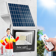 遠盛達戶(hù)外太陽(yáng)能庭院燈照明燈新農村家用一拖二超亮太陽(yáng)燈光伏發(fā)電路燈 聚光30000-W（一板一燈）照200平 智能遙控+光控丨天黑自動(dòng)亮