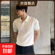 POLO衫翻領(lǐng)V領(lǐng)海鷗領(lǐng)針織短袖男麻花老錢(qián)風(fēng)冰絲透氣 B13白色 3XL 身高(CM):184-190 體重(KG):75-95