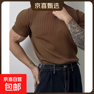 POLO衫翻領(lǐng)V領(lǐng)海鷗領(lǐng)針織短袖男麻花老錢(qián)風(fēng)冰絲透氣 B06棕色 XL 身高(CM):176-180體重(KG):65-70