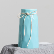 涼笙 創(chuàng  )意家居花瓶花藝客廳電視柜仿真花小清新馬卡龍假花水培花瓶干花假花裝飾品擺件 藍色花瓶(小號)