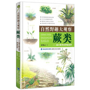 自然野趣大觀察·蕨類：揭開蕨類的神秘面紗